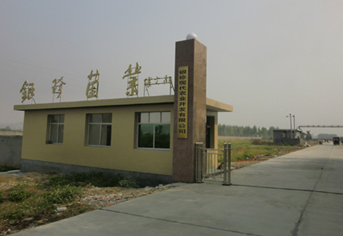 菇廠整廠設(shè)計(jì)