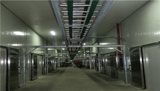 食用菌的形態(tài)結(jié)構(gòu)及分類