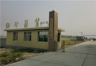 菇廠整廠設(shè)計